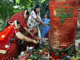 वट वृक्षों को भी है सावित्री का इंतजार!