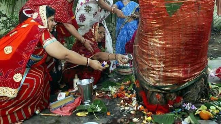 वट वृक्षों को भी है सावित्री का इंतजार!