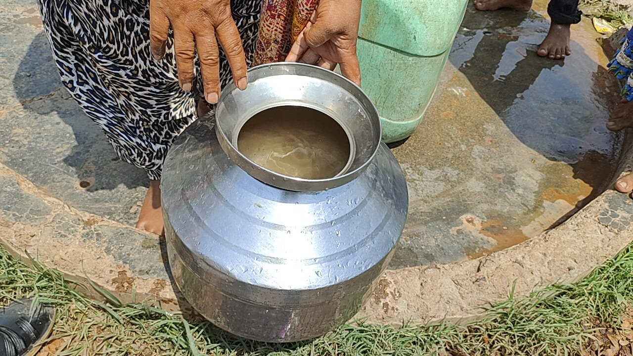 Chhattisgarh Hindi News