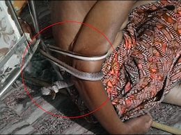 &lsquo;नाग फांस&rsquo;: 2 घंटे तक लकवाग्रस्त व्यक्ति को कुर्सी से जकड़े रहा सांप, Video रोंगटे खड़े कर देगा