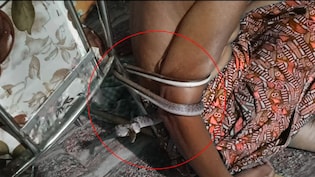 &lsquo;नाग फांस&rsquo;: 2 घंटे तक लकवाग्रस्त व्यक्ति को कुर्सी से जकड़े रहा सांप, Video रोंगटे खड़े कर देगा