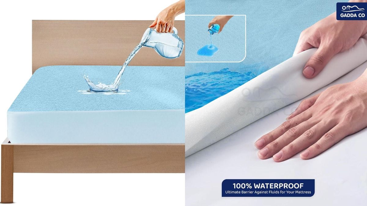 Top 5 Mattress Protectors Under ₹1000: Get the best quality picks at budget rates. Top 5 Mattress Protectors Under ₹1000: Get the best quality picks at budget rates.