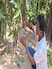 Odisha Farmer Grows World's Most Expensive Mango, But Now He Has A Problem
