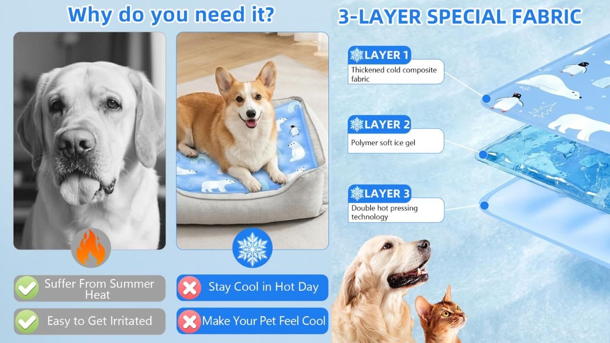 5 Best Pet Cooling Mats for Summer Under ₹2,600: These cooling mats create a comfortable resting area.