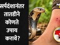 Snake Bite: सर्पदंशानंतर 10 मिनिटांची ही चूक ठरेल मृत्यूचे कारण, सर्वात आधी काय करावे? वाचा तज्ज्ञांचे 5 मुद्दे