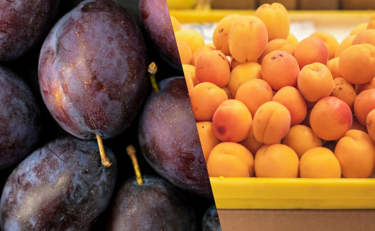Plums and apricots can be eaten safely by diabetics when in fresh form Plums and apricots can be eaten safely by diabetics when in fresh form