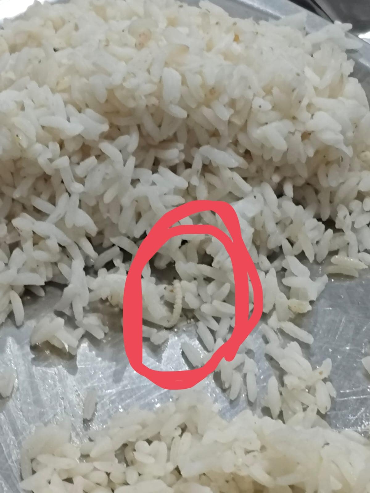 खाने में चावल खाने में चावल
