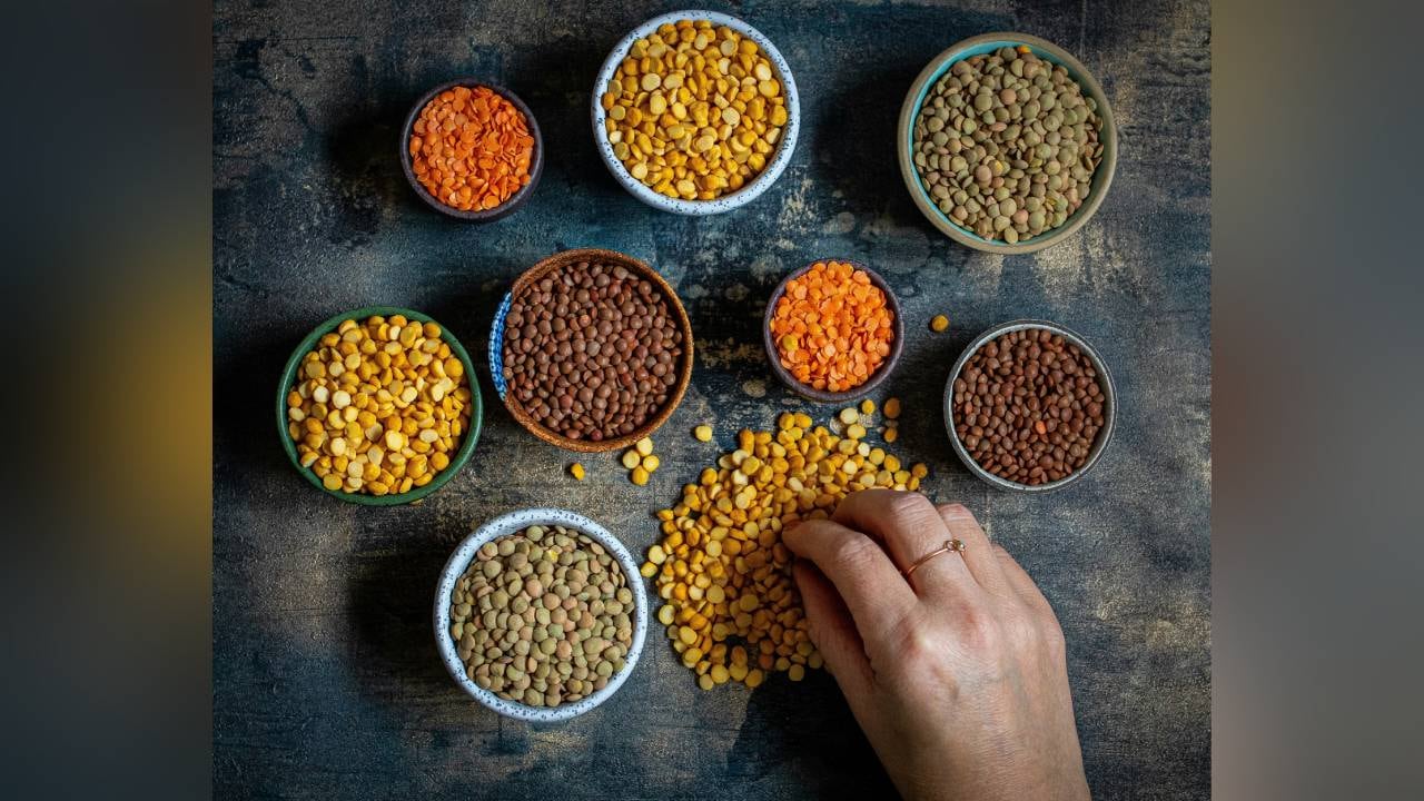 रोज़ की दाल में छुपा है सेहत का खजाना, जानिए कौन-सी दाल है आपके लिए सबसे ज्यादा फायदेमंद, देखें बेस्ट डील्स भी