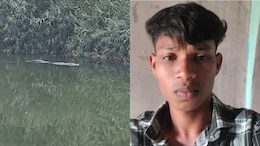 On Camera, Gujarat Man Dragged By 12-Foot Crocodile Into River, Dies