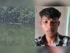 On Camera, Gujarat Man Dragged By 12-Foot Crocodile Into River, Dies