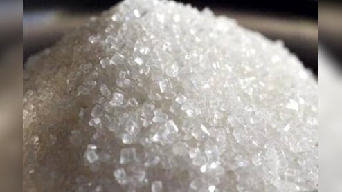 Government Allocates 8,606 Tonnes Of Raw Sugar Exports To The US