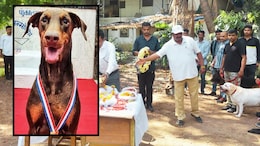 Thane News : खुनाच्या गुन्ह्यात पोलिसांना मदत करून परतली, अन् उठलीच नाही; बेलीच्या निधनाने पोलीस अलर्टवर