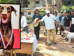 Thane News : खुनाच्या गुन्ह्यात पोलिसांना मदत करून परतली, अन् उठलीच नाही; बेलीच्या निधनाने पोलीस अलर्टवर