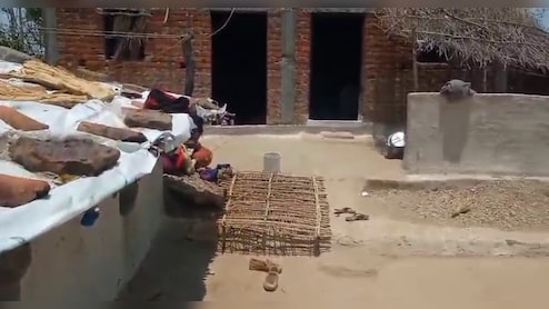 दर्दनाक: एमपी में तीन मासूम बेटियों के साथ मां ने खाया जहर, सभी की गई जान