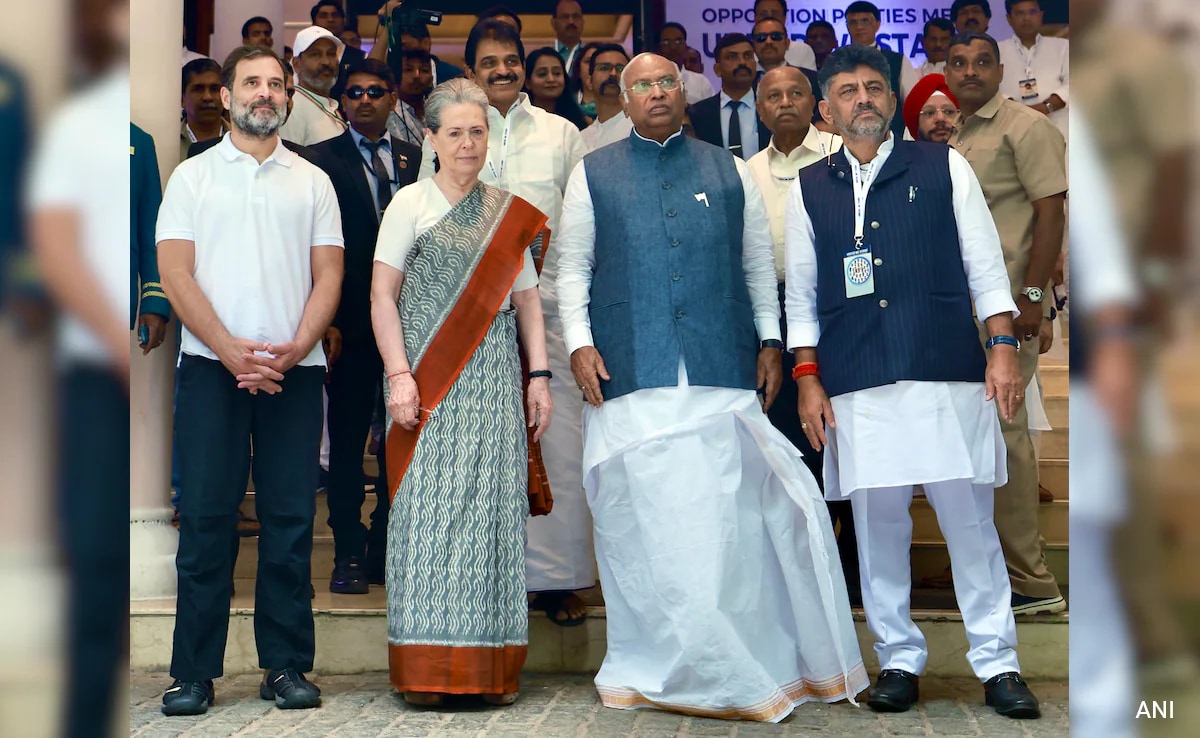 Sonia Gandhi, Rahul, I Will Decide: Mallikarjun Kharge On Karnataka Leadership Change