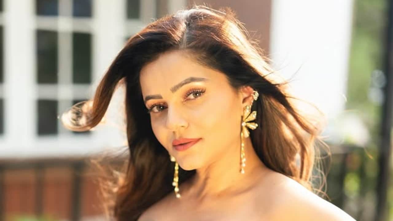 'It Has Become Obscene Now': Rubina Dilaik On How Item Songs Have Changed