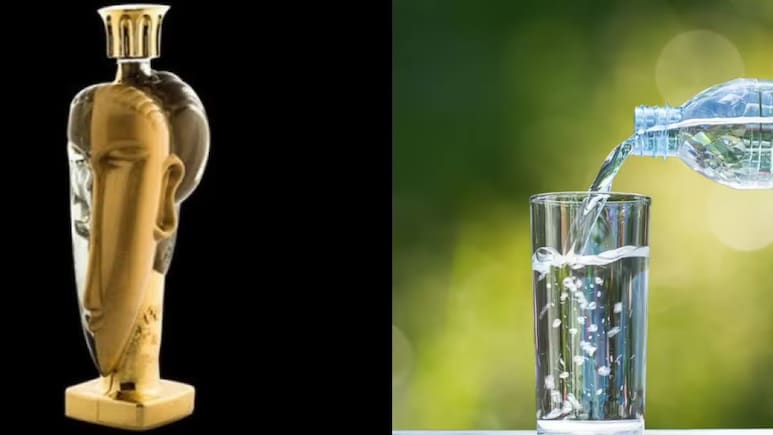 Expensive Water Bottle: जगातील सर्वात महागडी Water Bottle; किंमतीत येईल आलिशान फ्लॅट; खासियत काय?