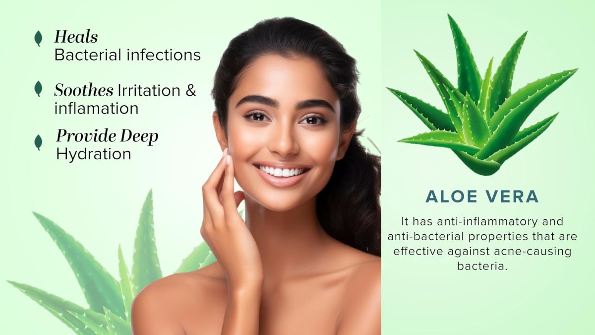 Learn the benefits, side effects, and correct way to use aloe vera daily for health. Learn the benefits, side effects, and correct way to use aloe vera daily for health.