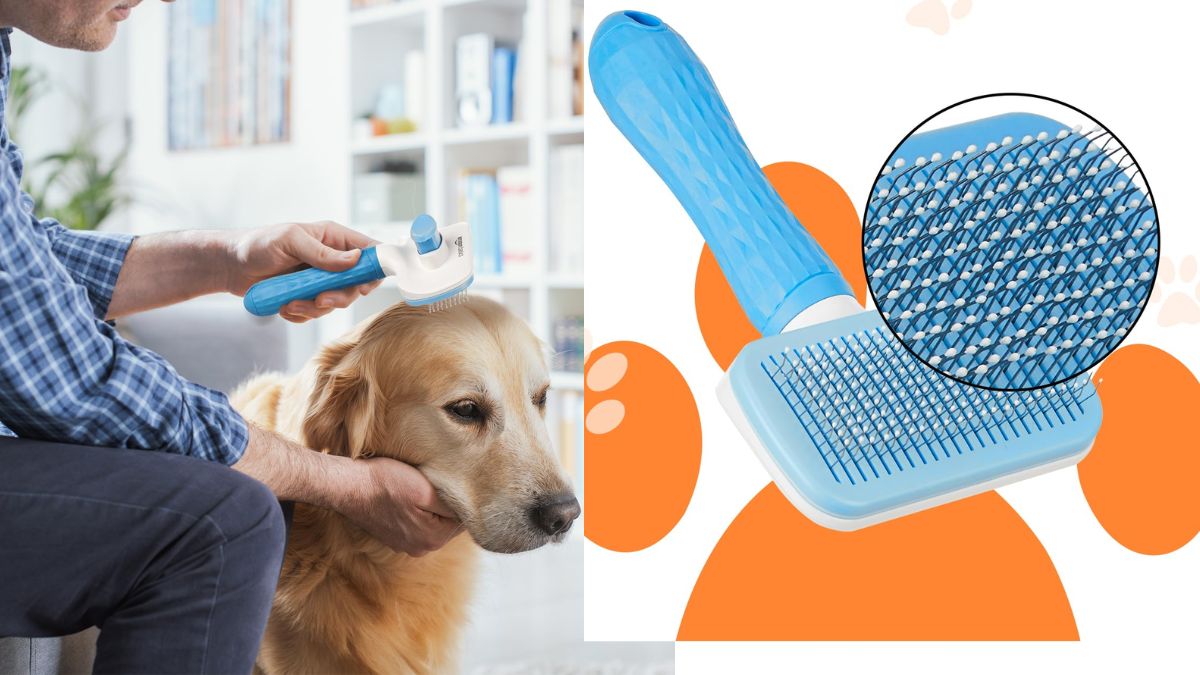 Top 5 Pet Grooming Brushes Under ₹1000 for Shedding: Get rid of this problem easily.