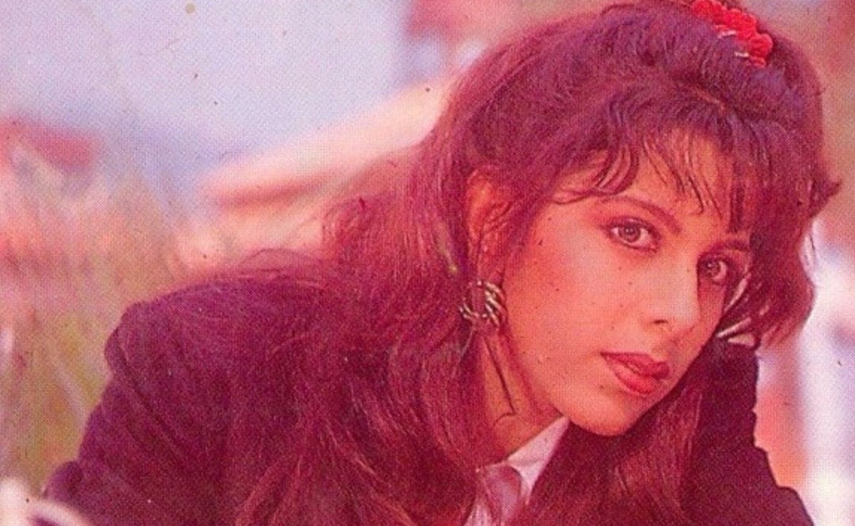 आमिर, सनी की हीरोइन, 90s के दशक में दिलों पर छाई, अब बोलीं- 'मैं अच्छी एक्ट्रेस नहीं, इसलिए करती थी एक्सपोज' — WellsTrack
