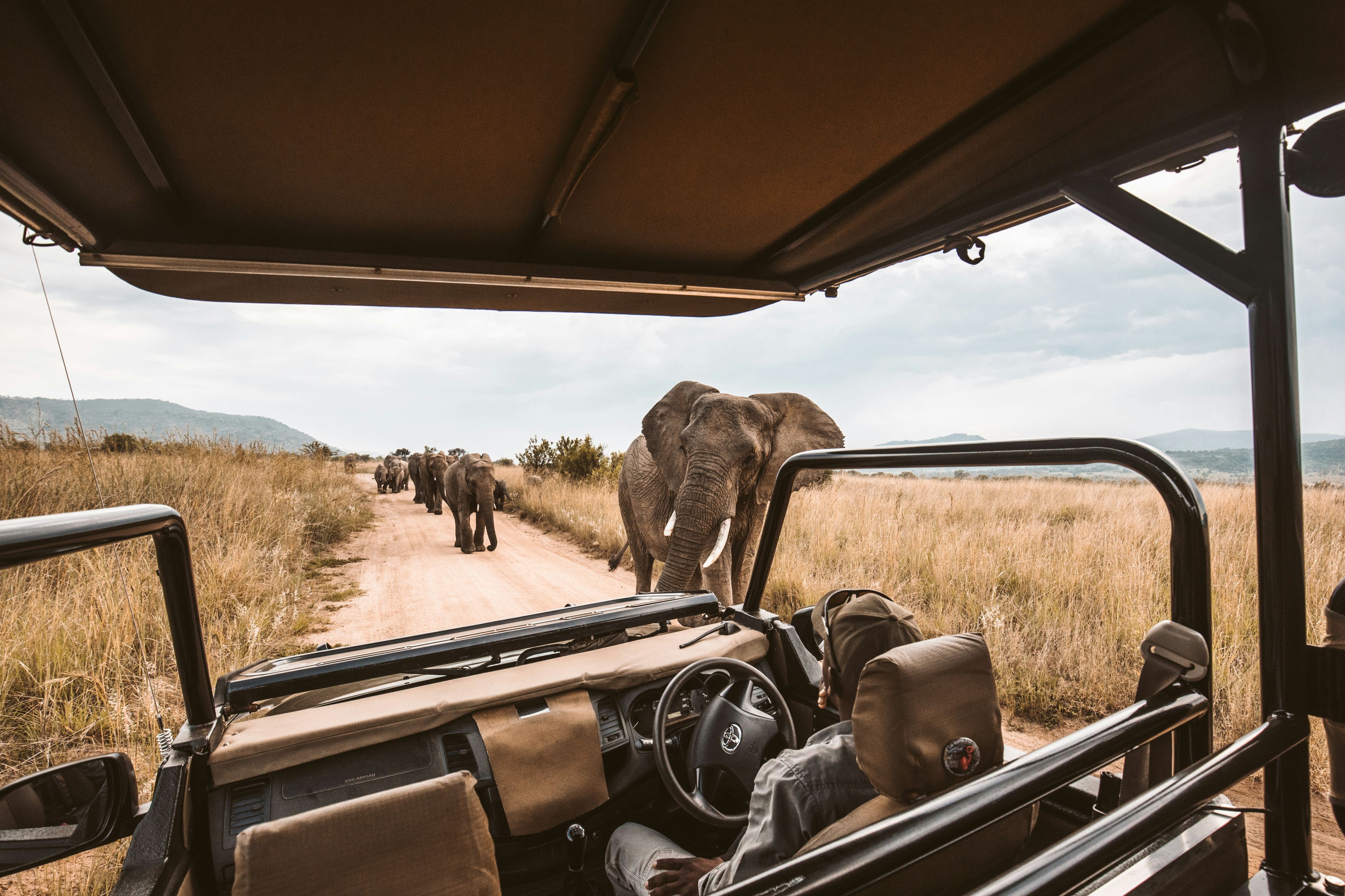While many experts support tighter restrictions, several travel industry leaders believe a total ban may be too extreme. Photo: Unsplash While many experts support tighter restrictions, several travel industry leaders believe a total ban may be too extreme. Photo: Unsplash