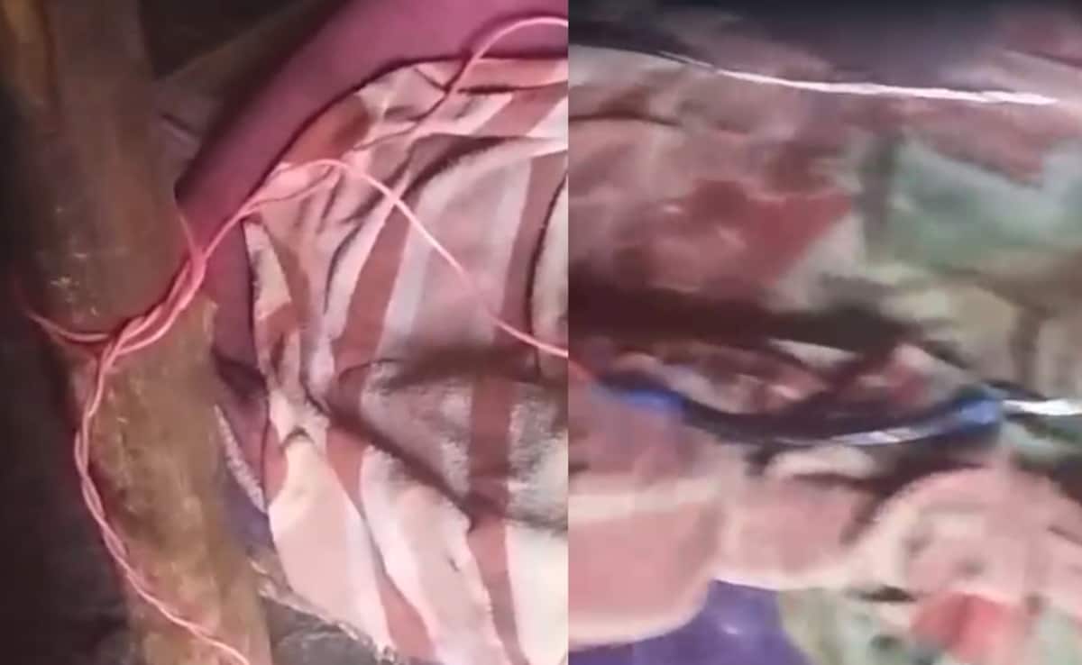 Maharashtra Woman, Lover Tie Wire To Her Husband In Attempt To Electrocute Him