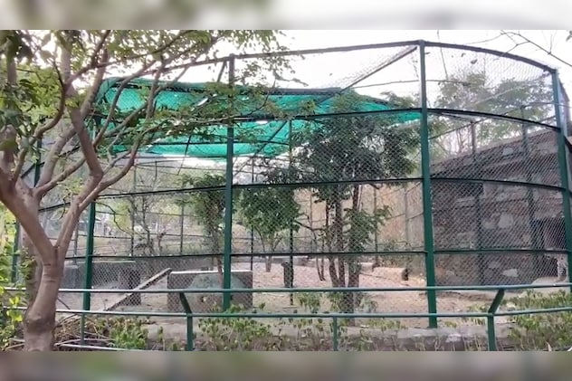 कूलर, फव्वारे और फॉगर लगे