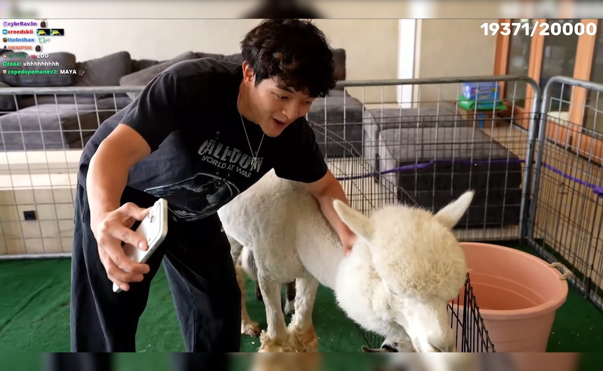 What Did JasonTheWeen Do? Maya Higa Angry After Streamer Uses Animals for Content