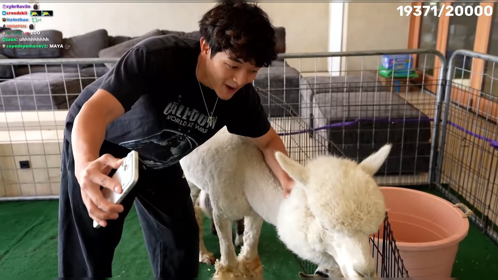 Jasontheween vs Maya Higa Controversy: Streamer Reacts After Being Called Out For Using Animals For Content