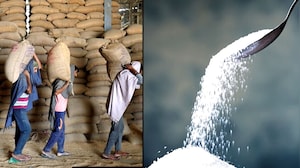 India Bans Sugar Exports Till September 2026 Amid Domestic Supply Concerns