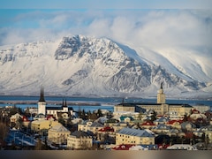 Once Insect-Free Iceland Now Sees Mosquitoes Amid Climate Change