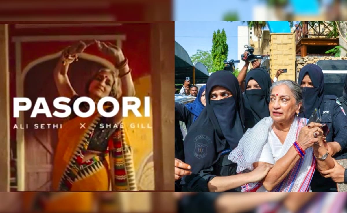 Who Is Sheema Kermani? Activist, Coke Studio Fame Bharatanatyam Dancer Detained In Pakistan