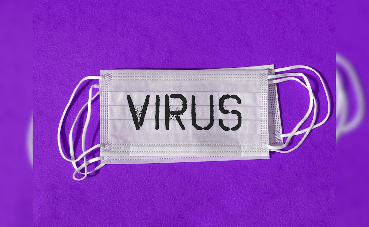 Hantavirus Outbreak: How It Spreads, Who Is At Risk, Symptoms, Precautions — All You Need To Know