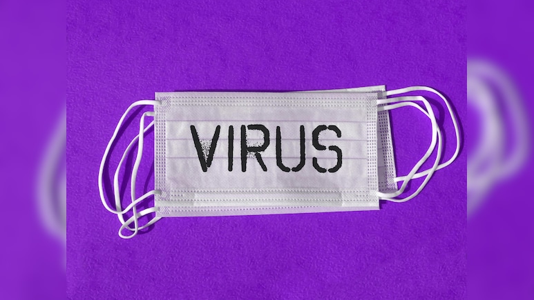 Hantavirus Outbreak: How It Spreads, Who Is At Risk, Symptoms, Precautions &mdash; All You Need To Know
