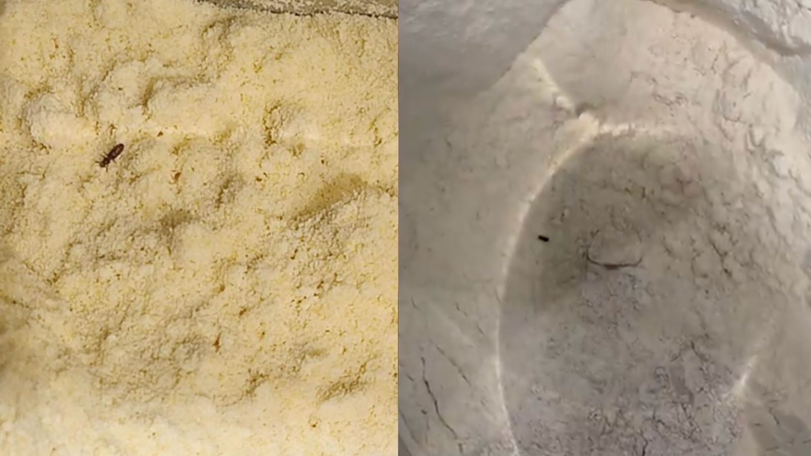 150 Kg Food Seized After Hygiene Violations At Lulu Hypermarket, Hyderabad