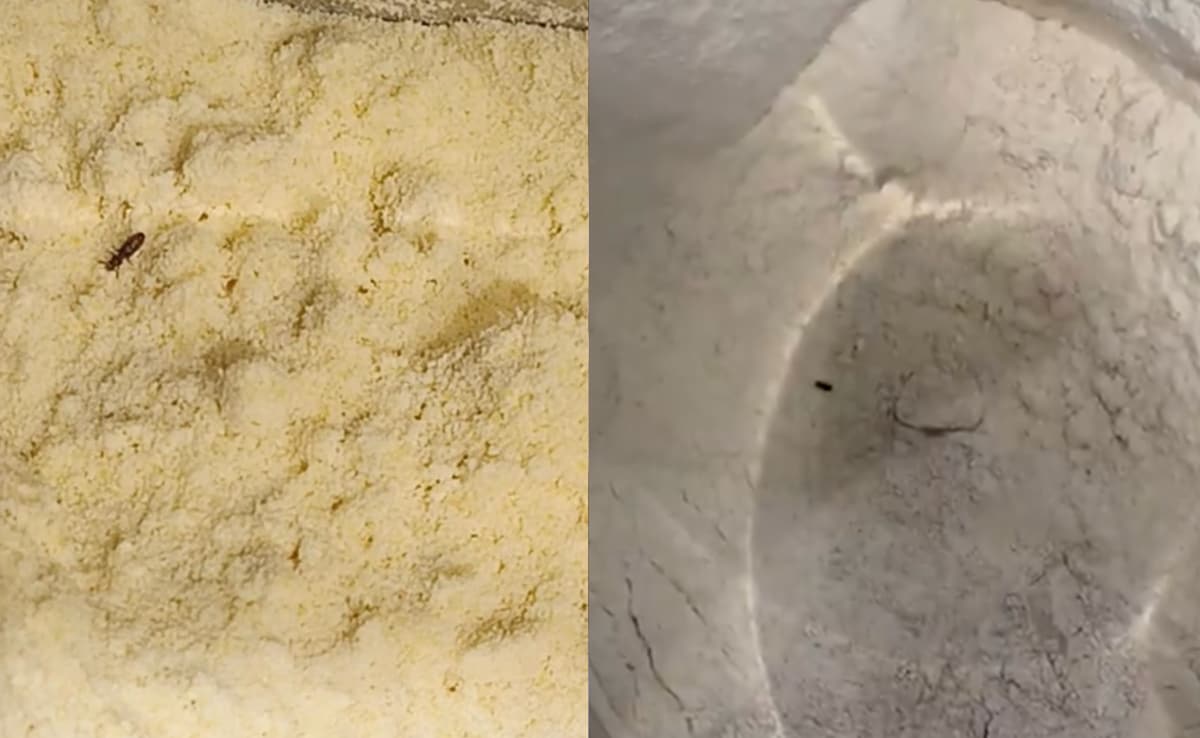 150 Kg Food Discarded After Hygiene Violations At Lulu Hypermarket, Hyderabad