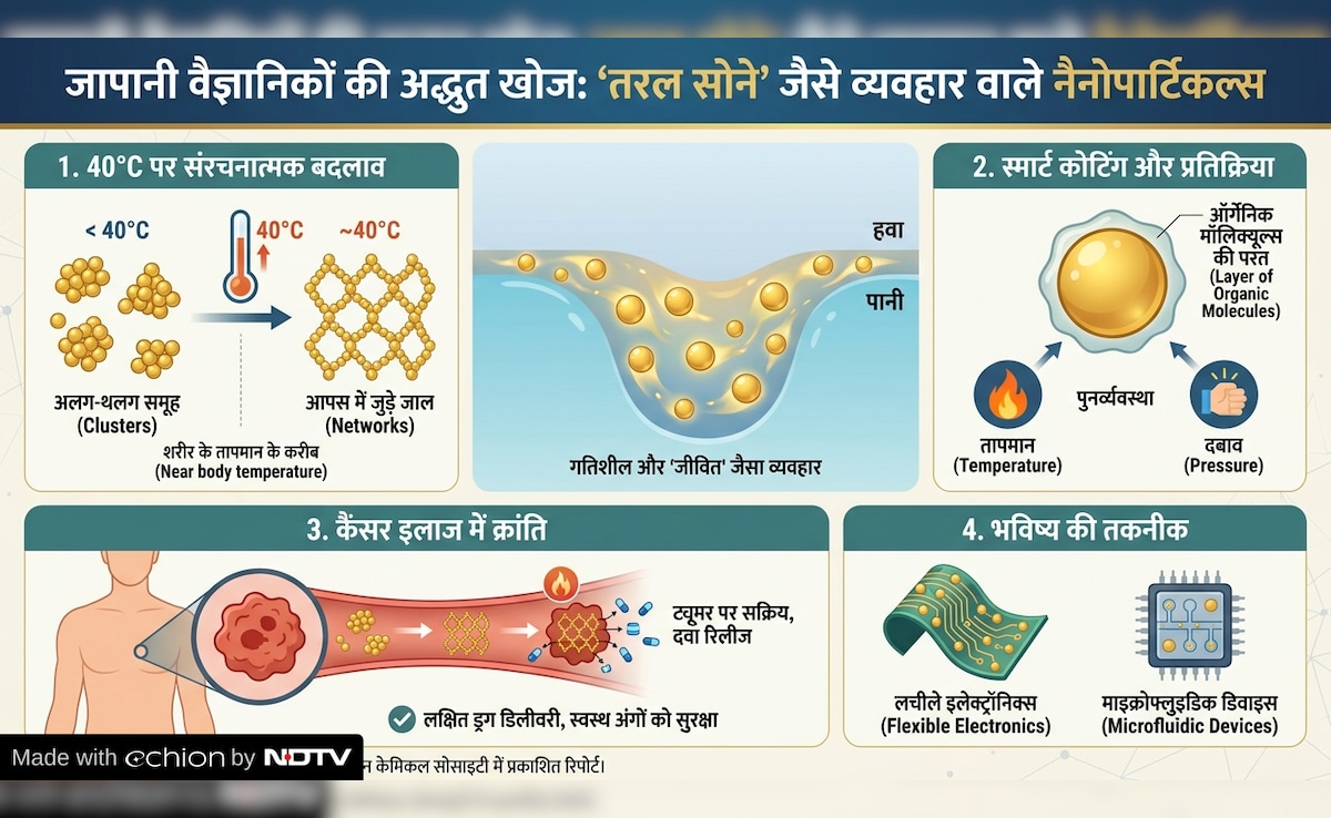Latest and Breaking News on NDTV