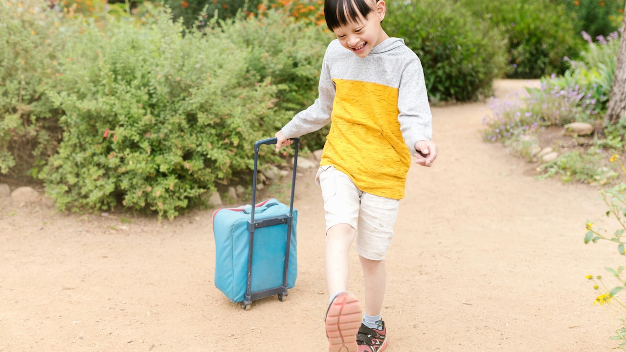 Find top trolley bags for kids that fit school, holidays, and sleepovers