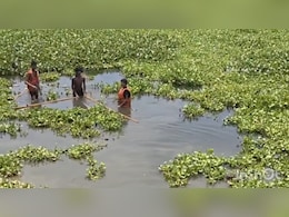 15 लाख का ठेका, तालाब में उतारे बच्चे... भिंड में जलकुंभी की सफाई, नाबालिगों से काम कराने के आरोपों से मचा बवाल