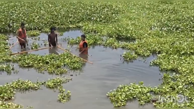 15 लाख का ठेका, तालाब में उतारे बच्चे... भिंड में जलकुंभी की सफाई, नाबालिगों से काम कराने के आरोपों से मचा बवाल
