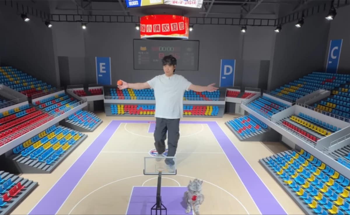 Who Is Xing Zhilei? The YouTuber Who Spent Three Months Building A Basketball Arena For His Cats
