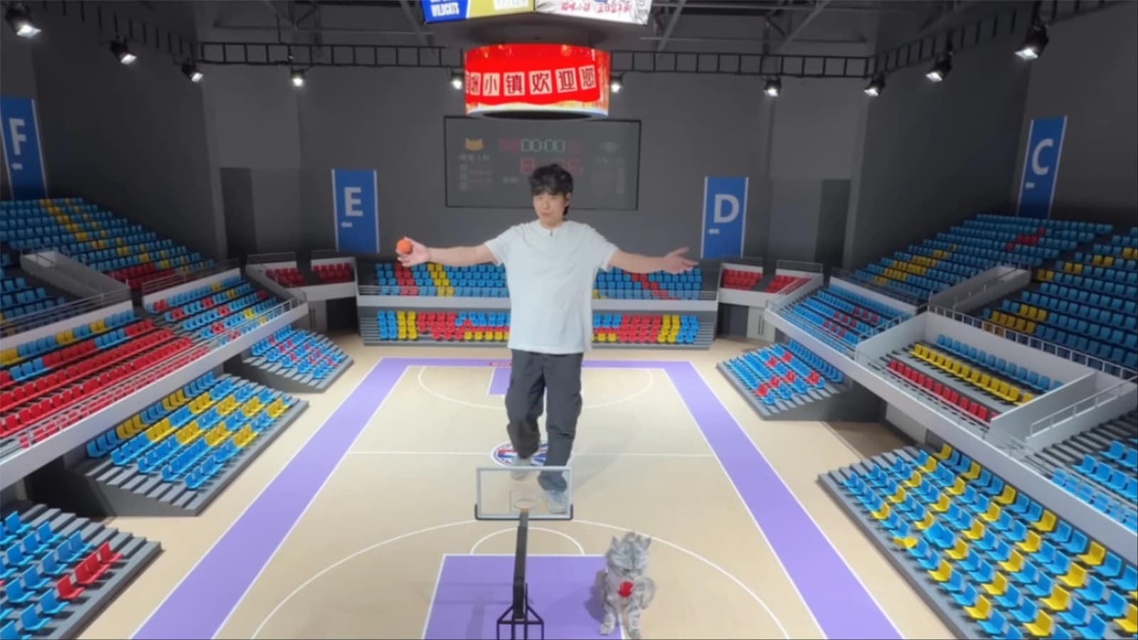 Who Is Xing Zhilei? The YouTuber Who Spent Three Months Building A Basketball Arena For His Cats