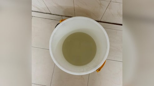 In This Delhi Locality, Residents Open Taps Only To Find "Sewage-Like Water"