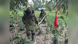 WWII-Era Bomb Found In Assam Village, Army Safely Defuses Device