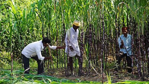 Story image