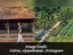 "I Feel Guilty": Kerala Man Shares Peaceful Life Back Home, Reflects On Living Abroad