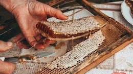 Which City Known As The 'Honey Capital Of The World'?