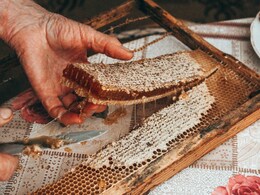 Which City Known As The Honey Capital Of The World'?