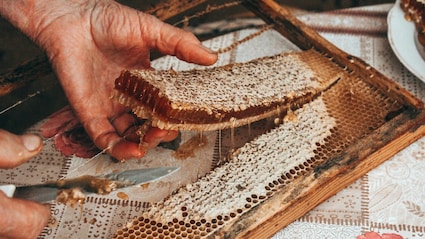 Which City Known As The 'Honey Capital Of The World'?