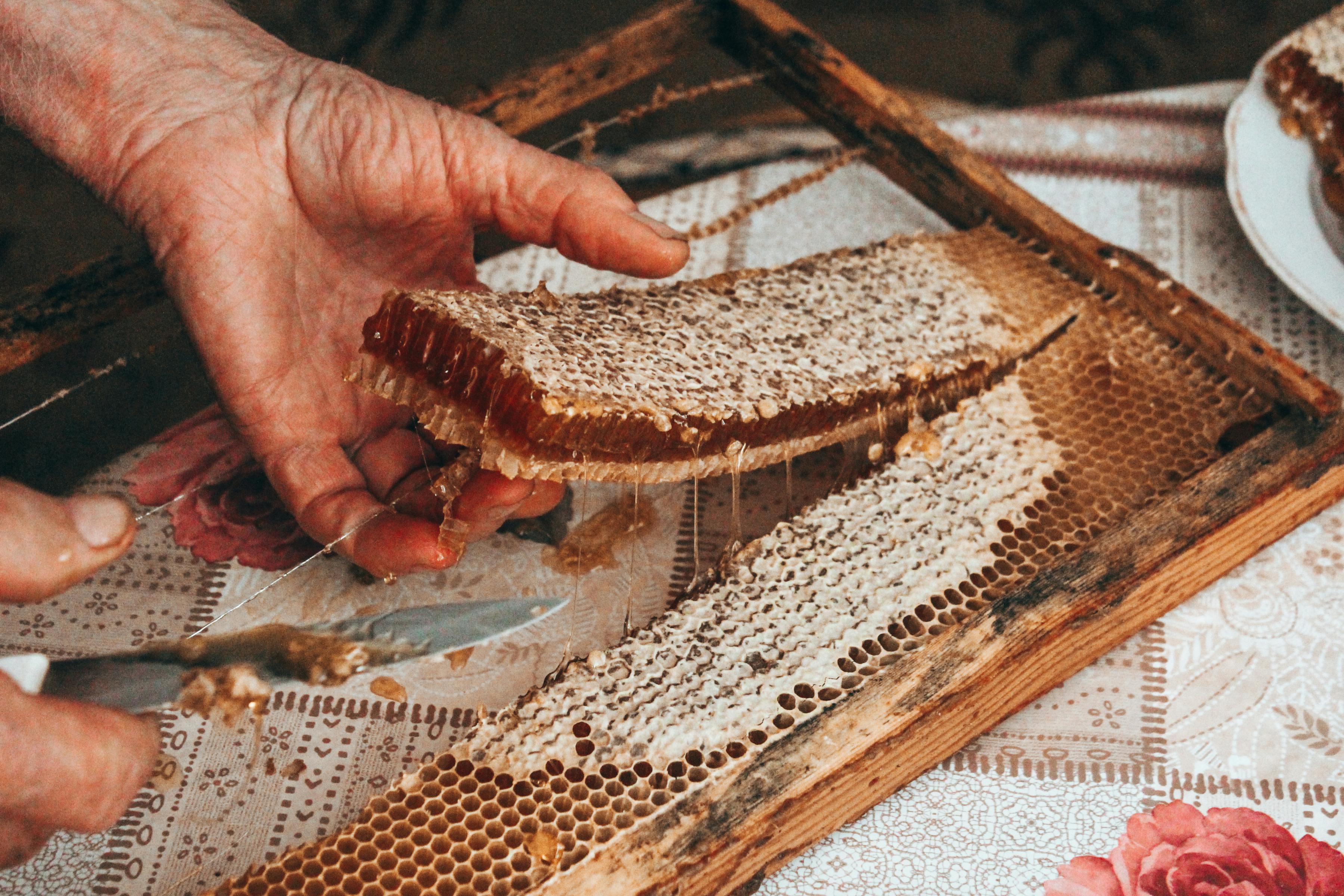 Which City Known As The Honey Capital Of The World'?